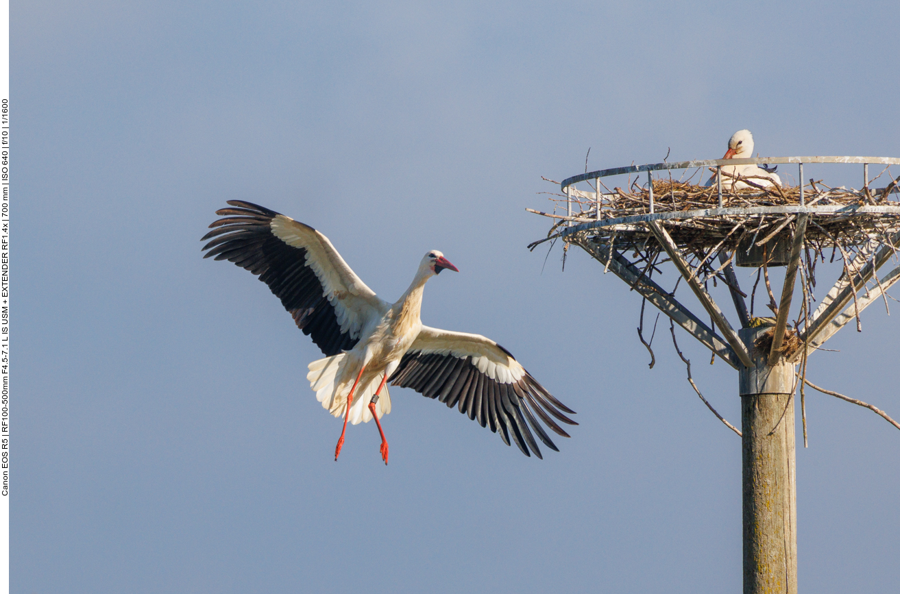 Anflug ohne Ladung ... 