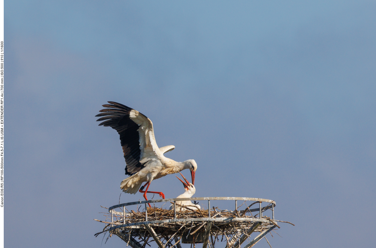 ... freudige Begrüßung ... 