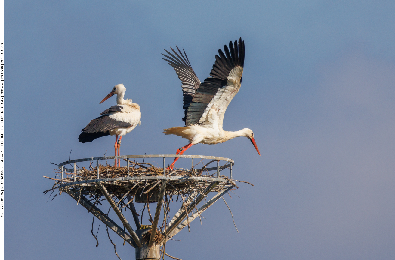 ... und schon geht es wieder los ... 