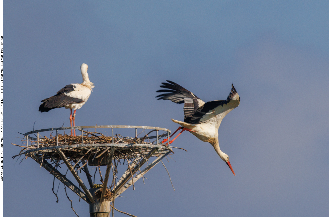 ... Sturz in die Tiefe ... 