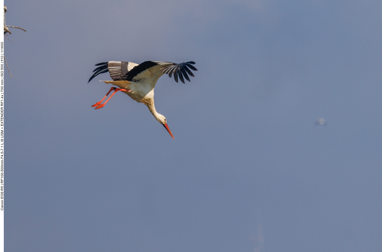 ... und Übergang ins Gleiten 