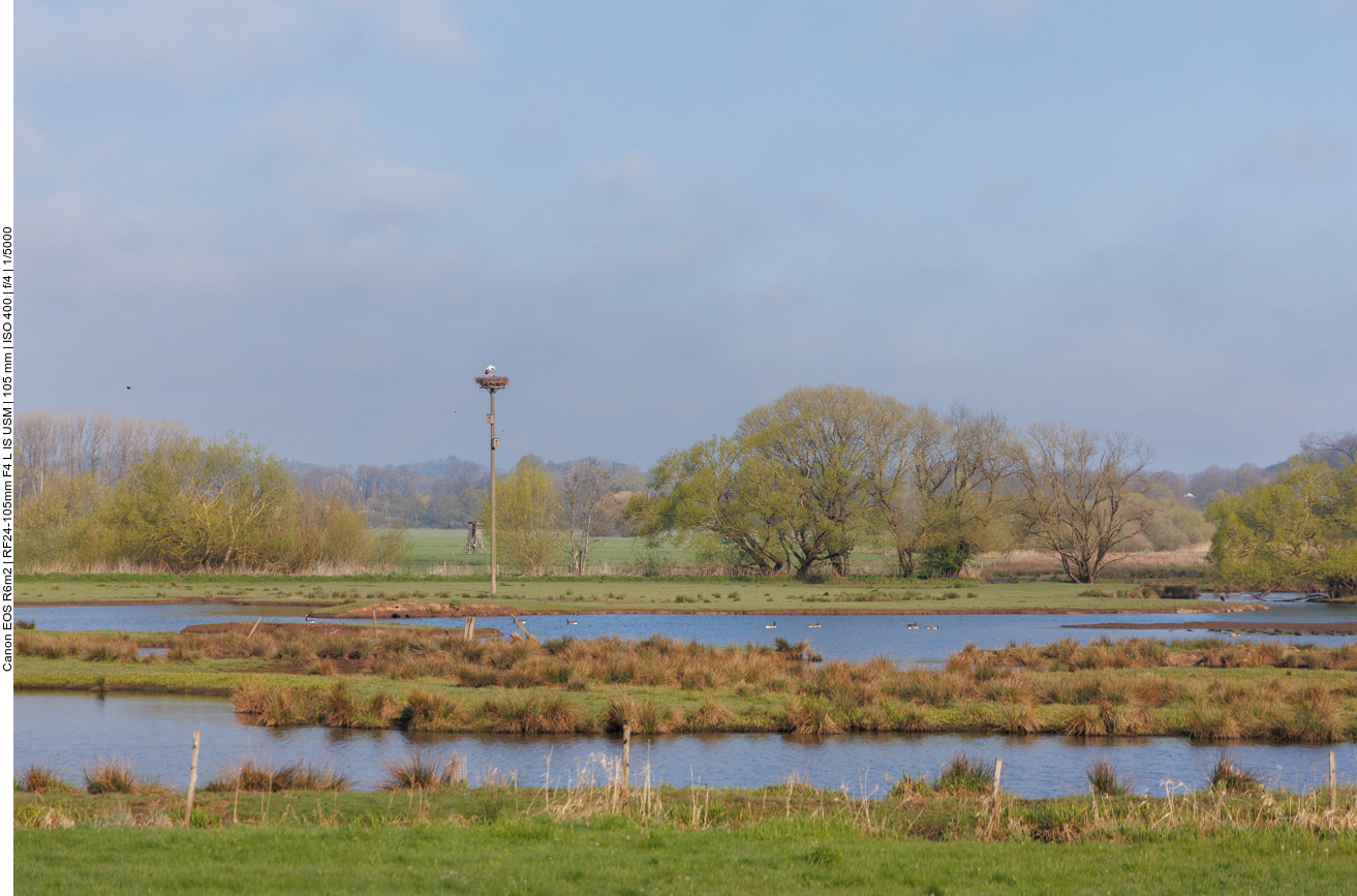 Biotop Beeden mit Storchennest #1 