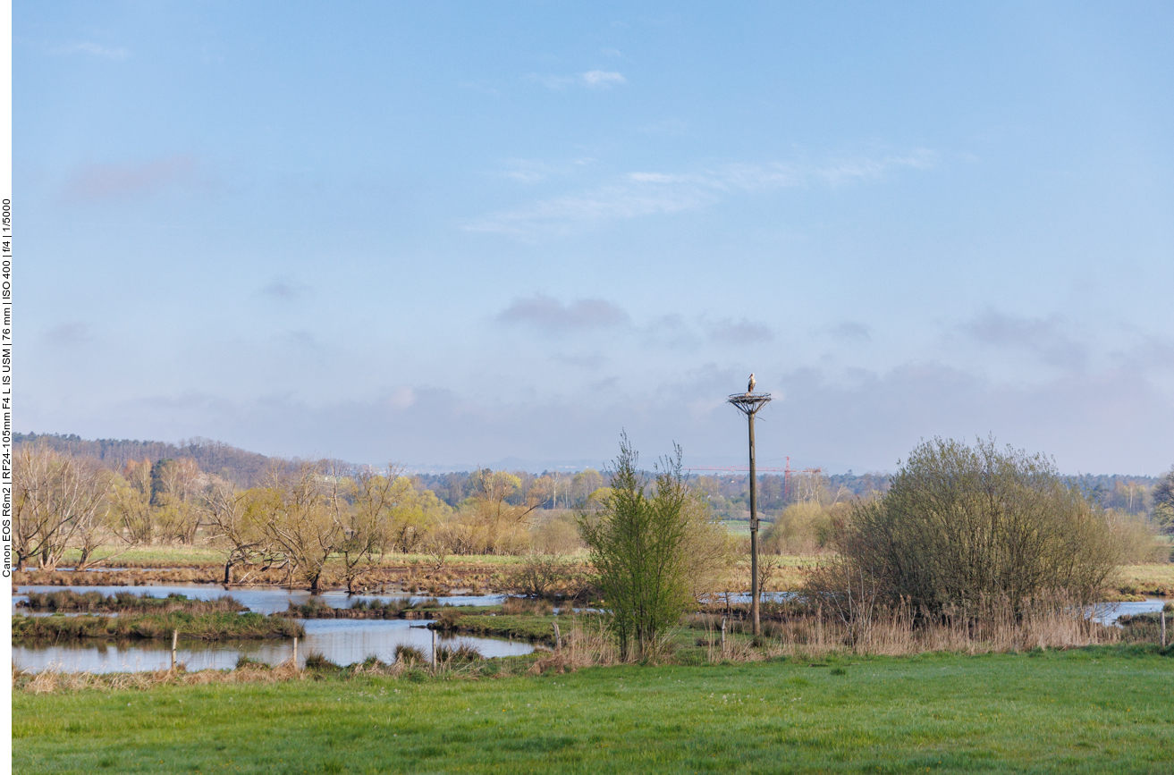 Biotop Beeden mit Storchennest #3
