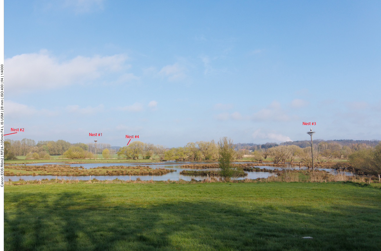 Die momentan besetzten Storchennester in Beeden: Nest 2 ist nicht im Bild und Nest 4 ist durch Äste verdeckt 