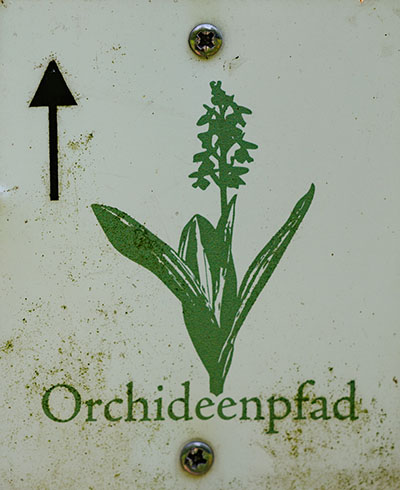 Kennzeichnung des Wanderwegs "" 