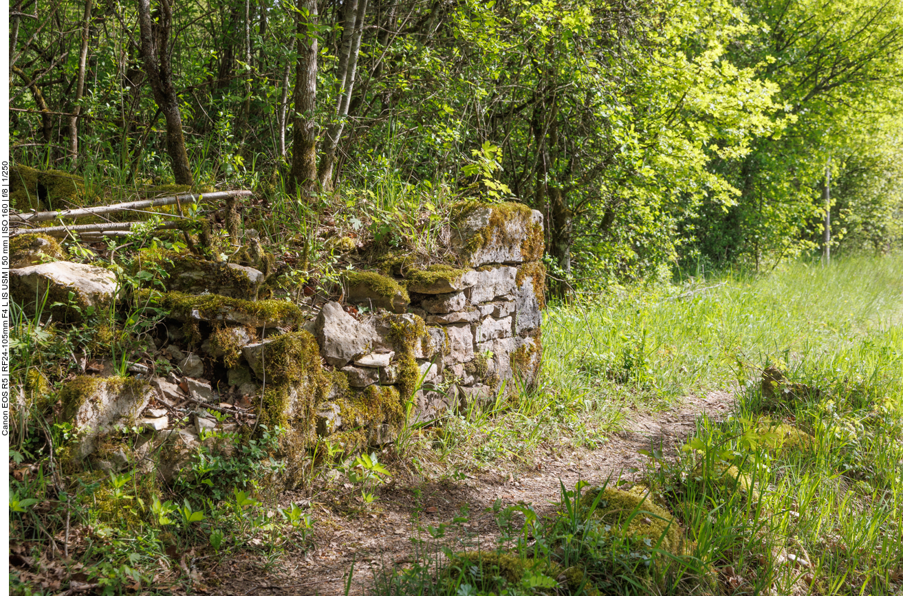 Alte Trockensteinmauer 