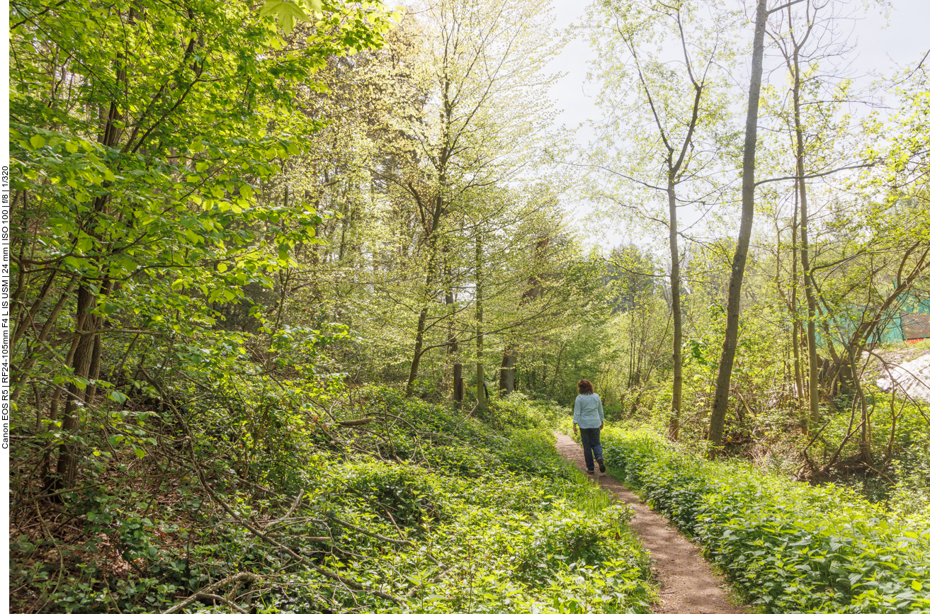 Weg entlang des Pfänderbachs 
