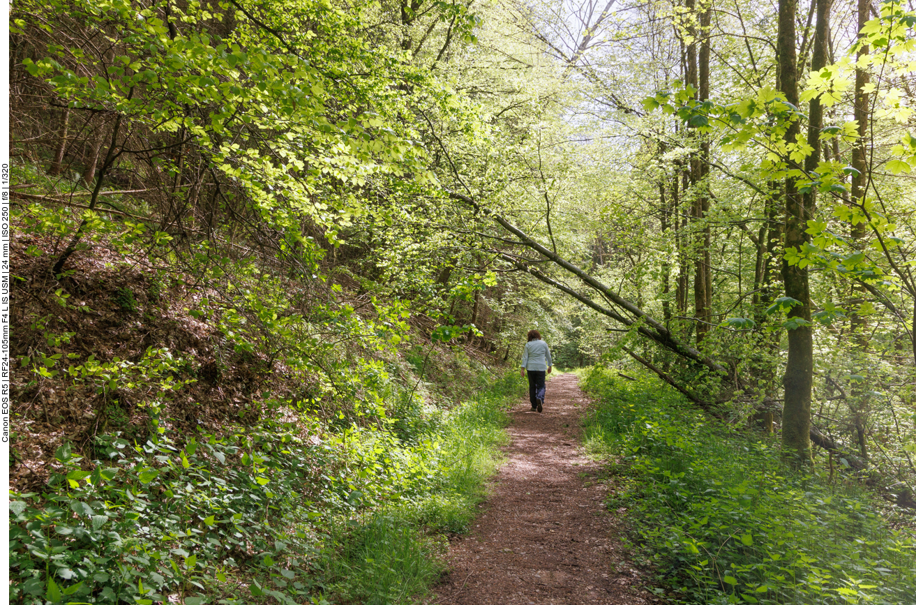 Hoffentlich hält der Baum noch ;-) 
