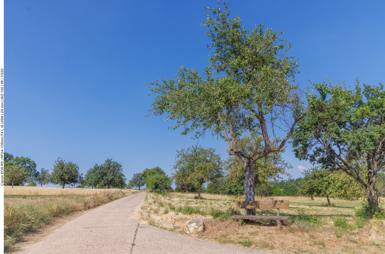 Weggabelung mit Rastbank 