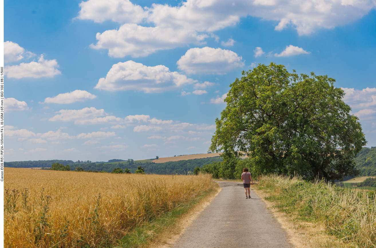 Zwischen den Feldern 