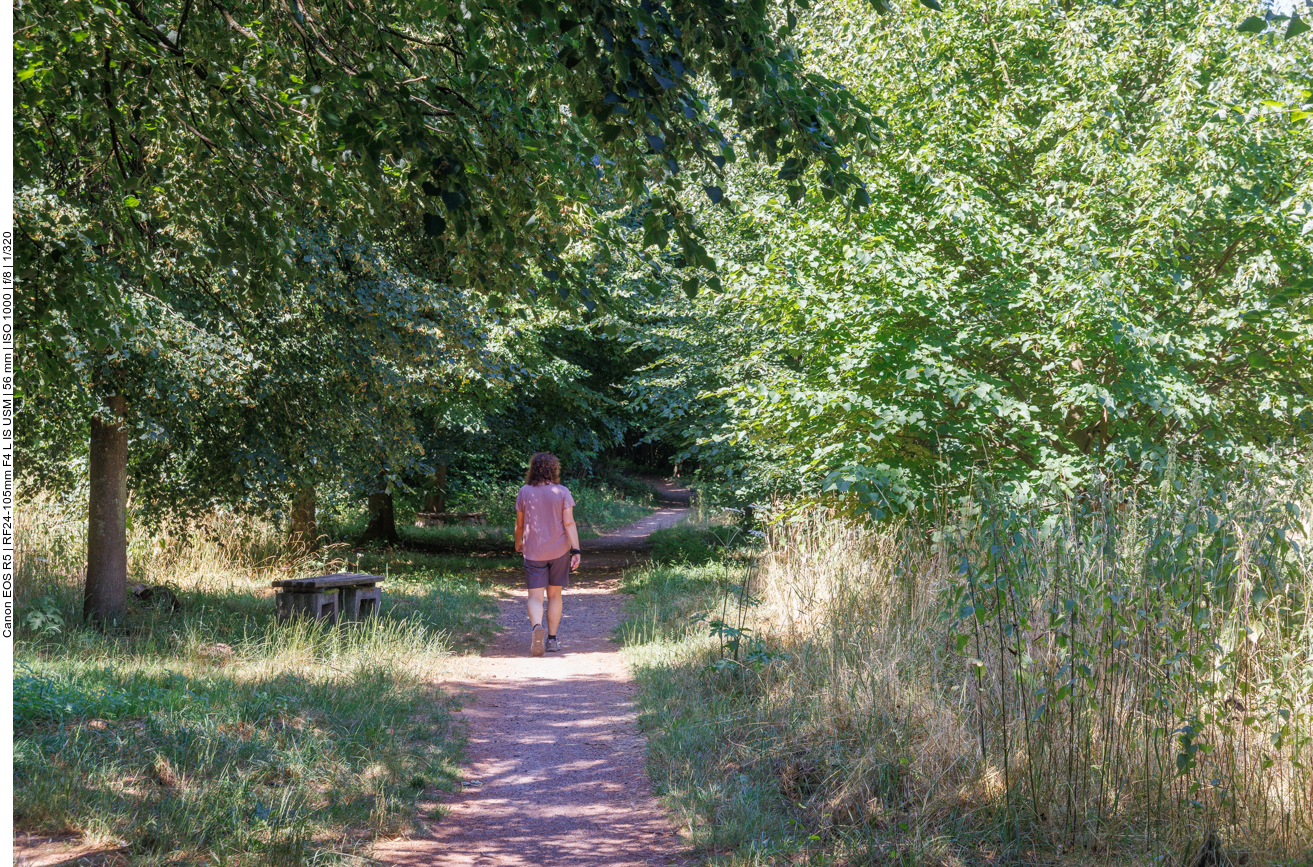 Endlich etwas Schatten 