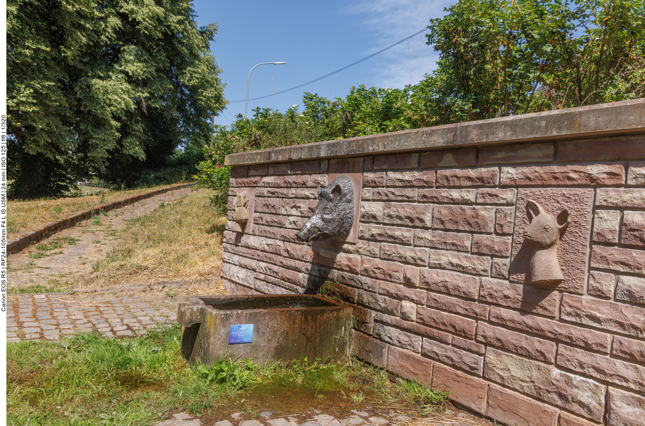 Brunnen in Karlsbrunn 