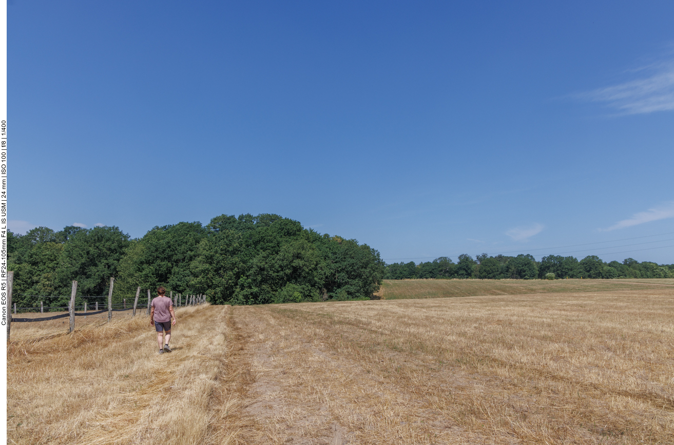 Weg entlang abgeernteter Felder 