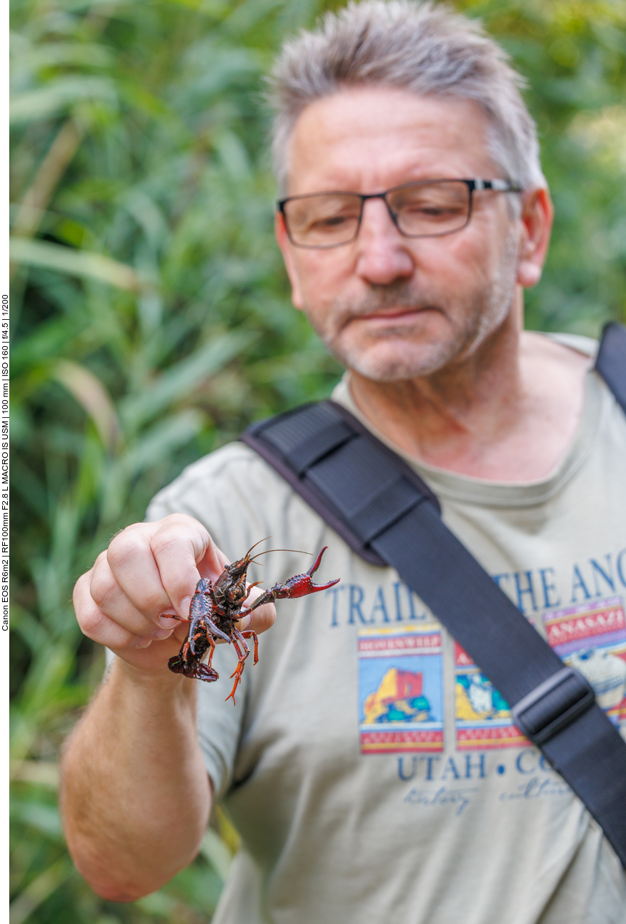 Wenn man sie ganz hinten fasst, können sie nicht zwicken 