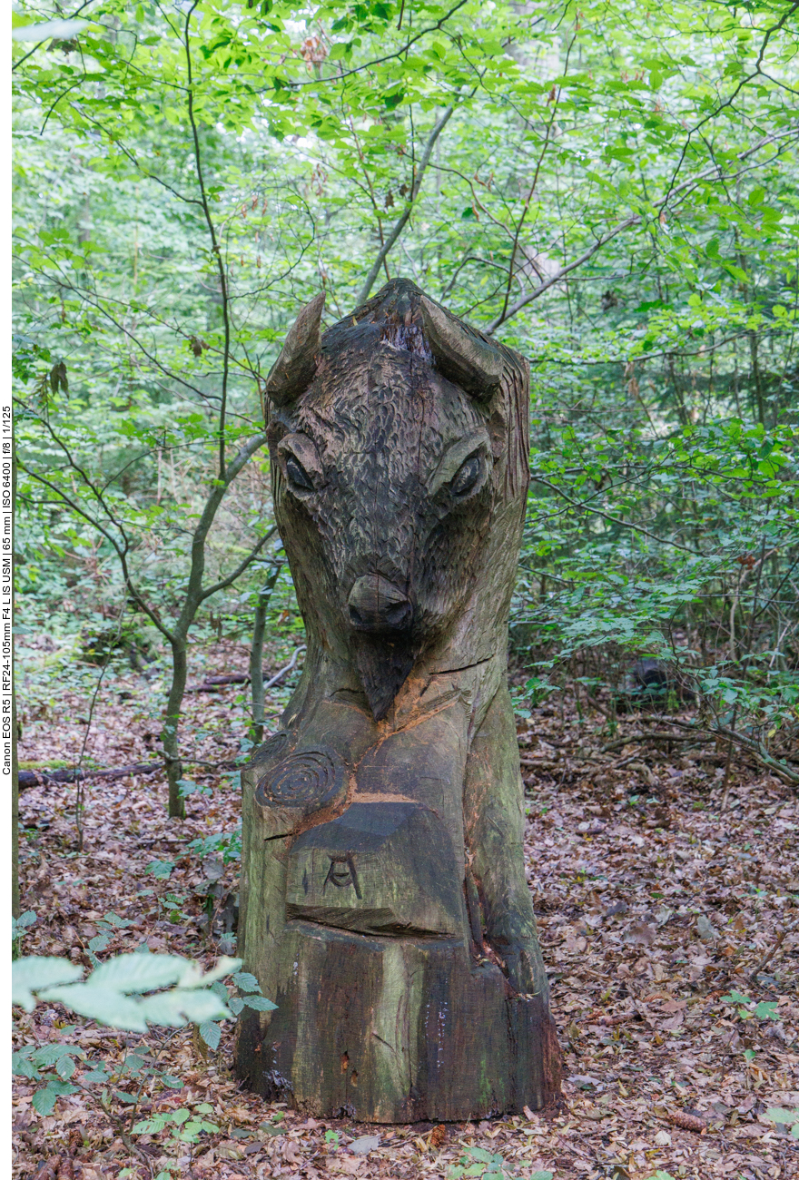 Bisonkopf auf dem Karl-May-Weg 