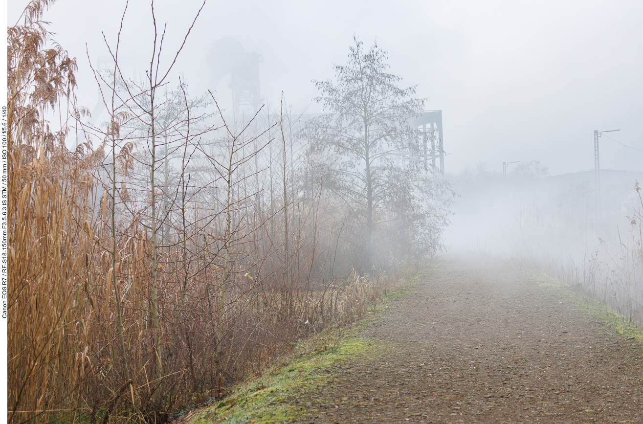 Nebliger Weg zwischen den Ablaufkanälen