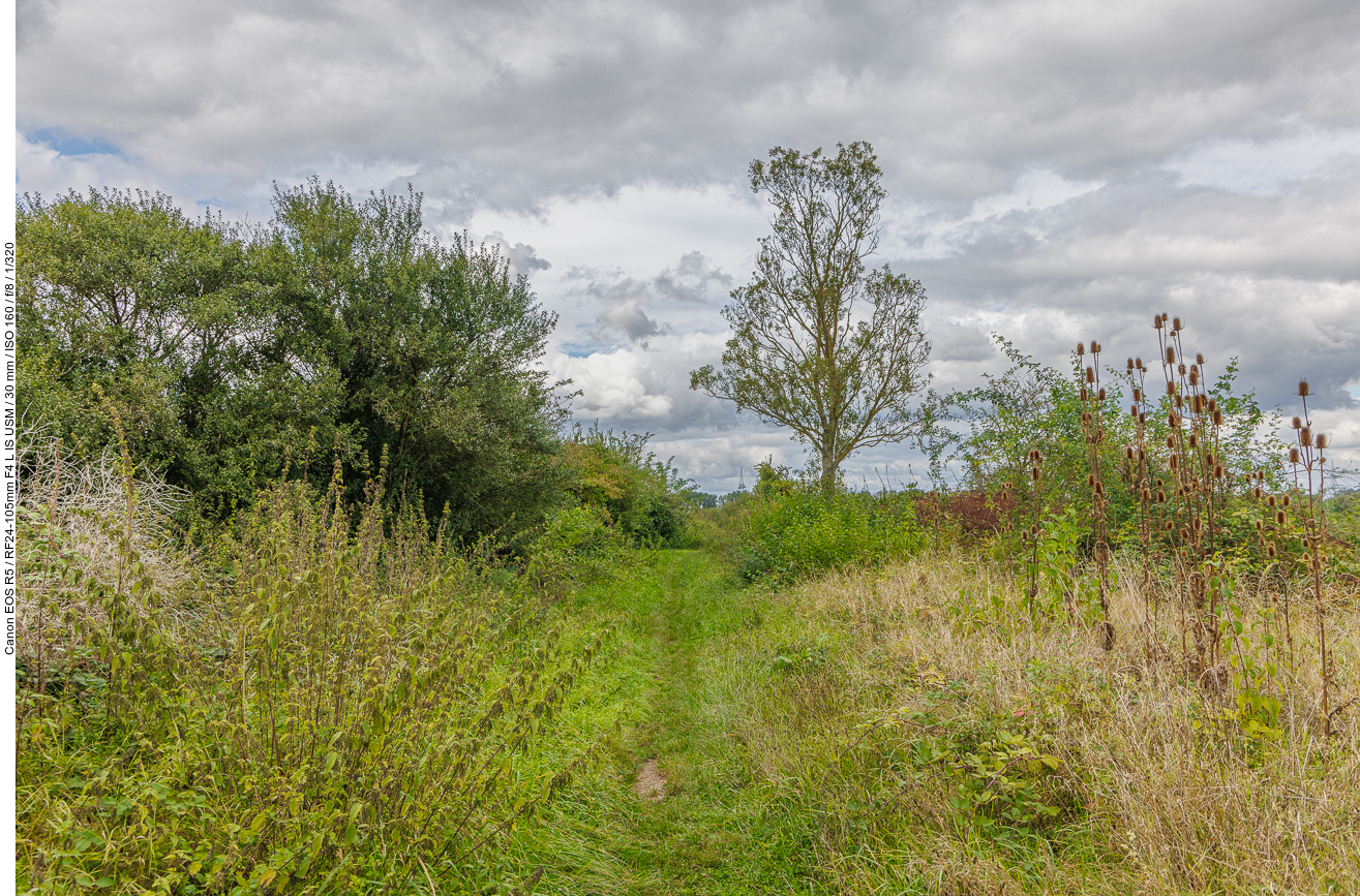 Auf schmalen Pfaden geht es zu den Seen/Teichen