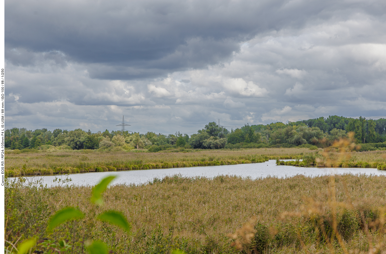 Blick über eines der Gewässer