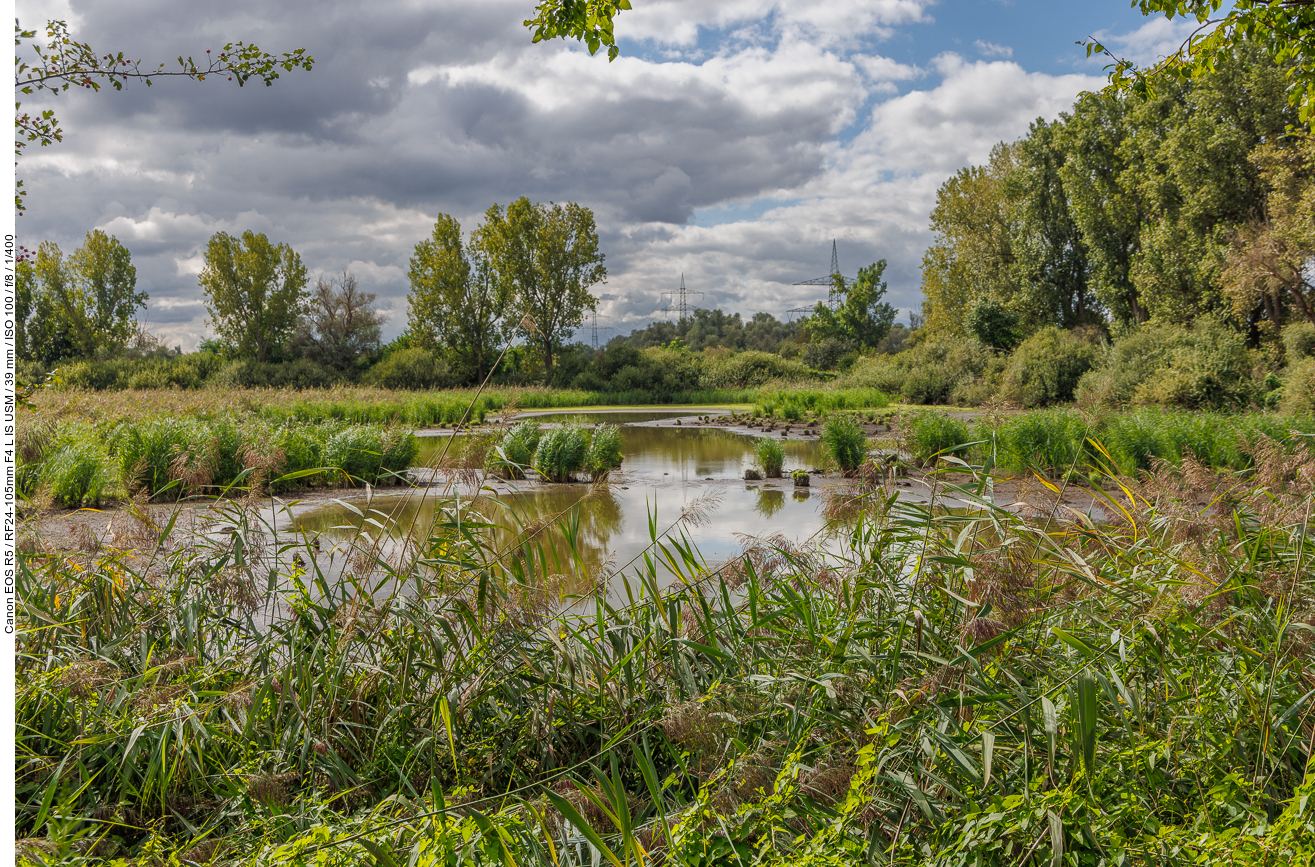 Leider sind die Wasserstände drastisch gesunken ...