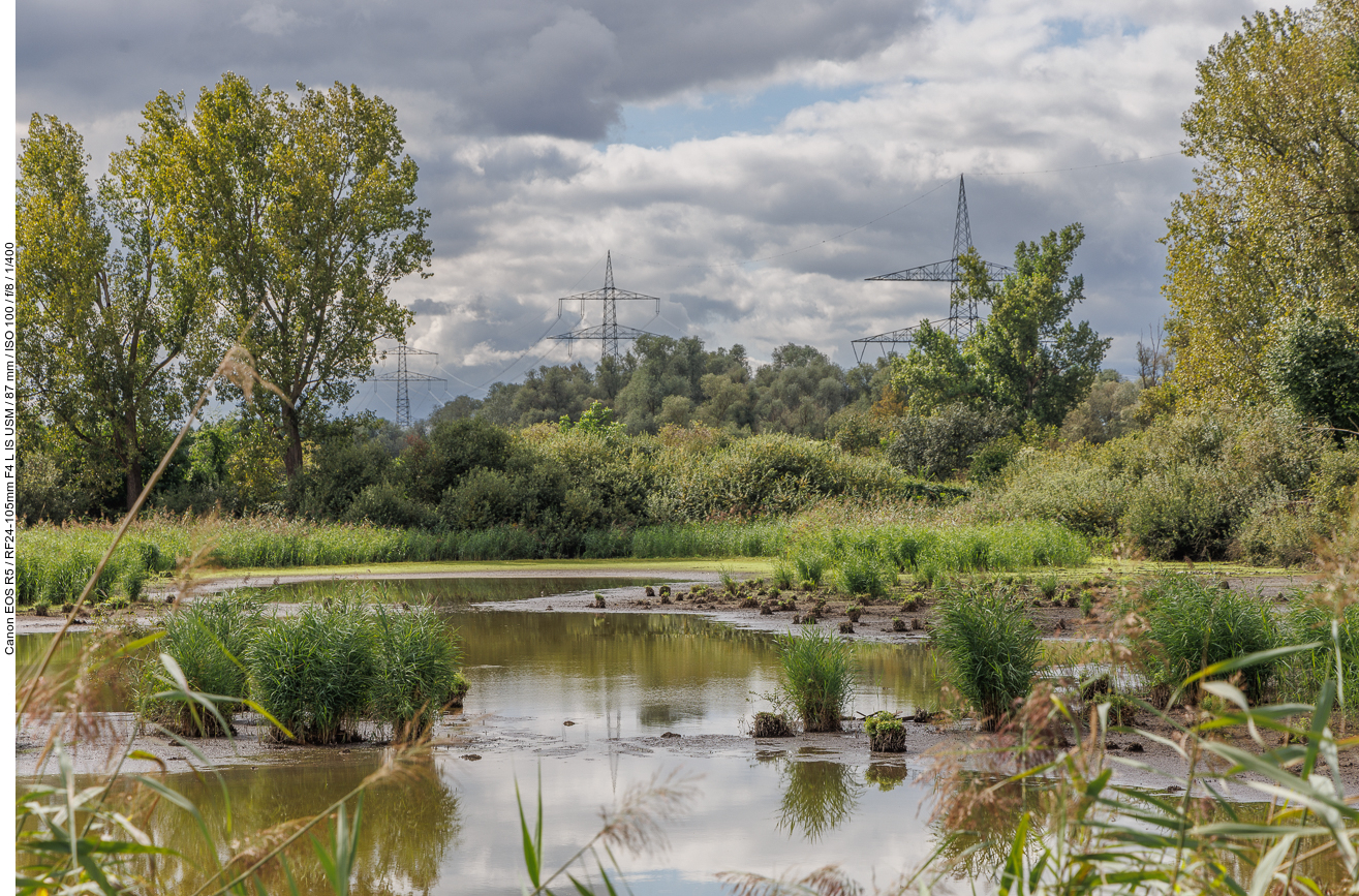 ... hier ist es noch besser zu sehen