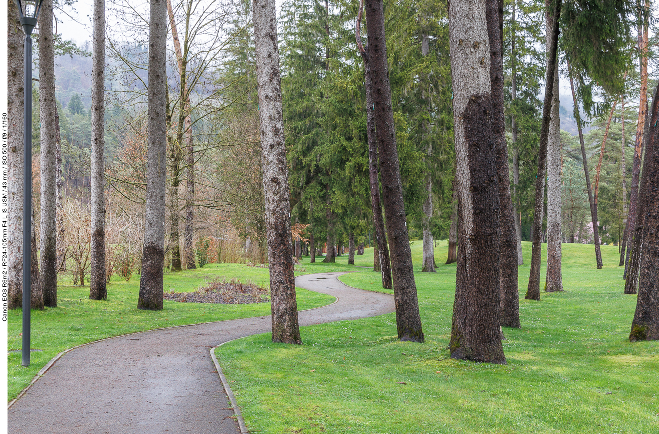 Geschlängelter Weg im Park