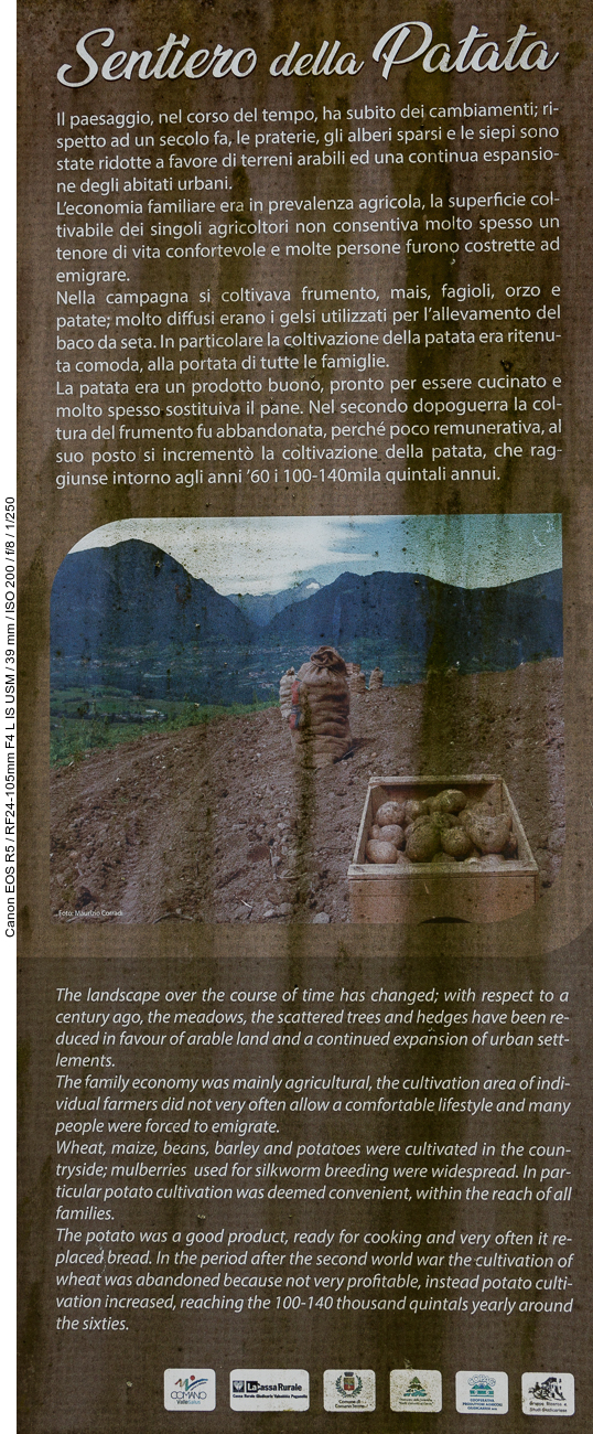 ... am Infoschild zum Kartoffelweg. Im Herbst würde man sicher mehr vom Kartoffelanbau sehen