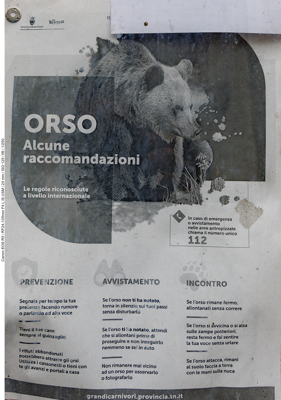 Auch hier ist Bärengebiet. Gut, dass wir das erst am Ende der Wanderung mitbekommen ;-)