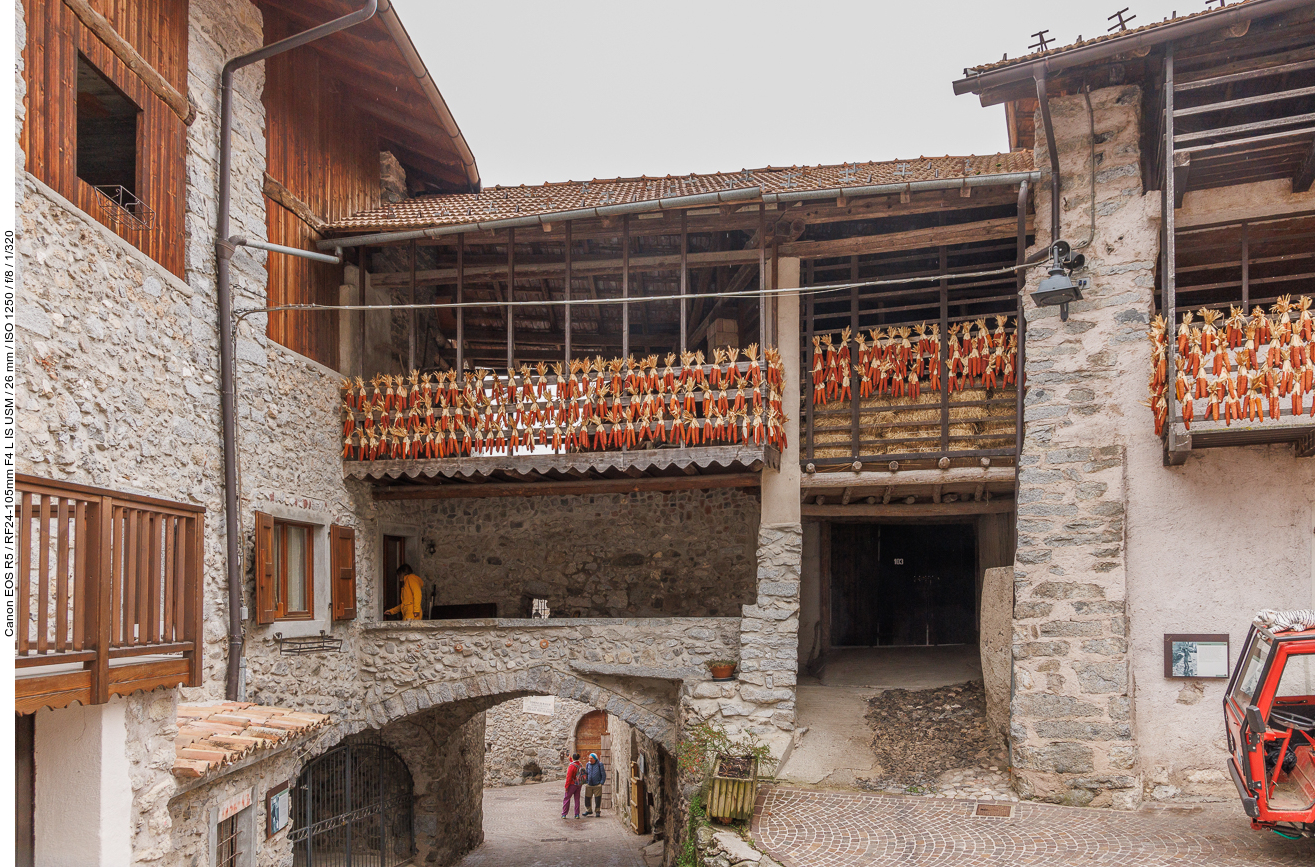 Wieder Mais an den Häuserfronten ...