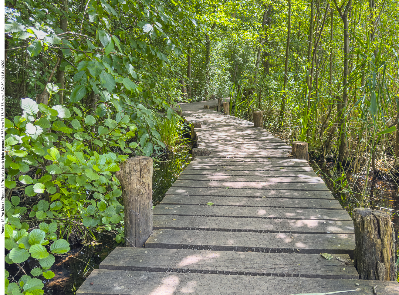 Zum Teil führt der Weg über solche Holzbohlenwege