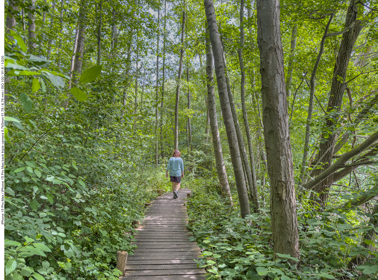 Wieder auf einem Holzweg