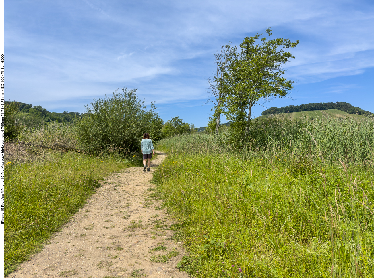 Sandiger Weg zum nächsten Teich