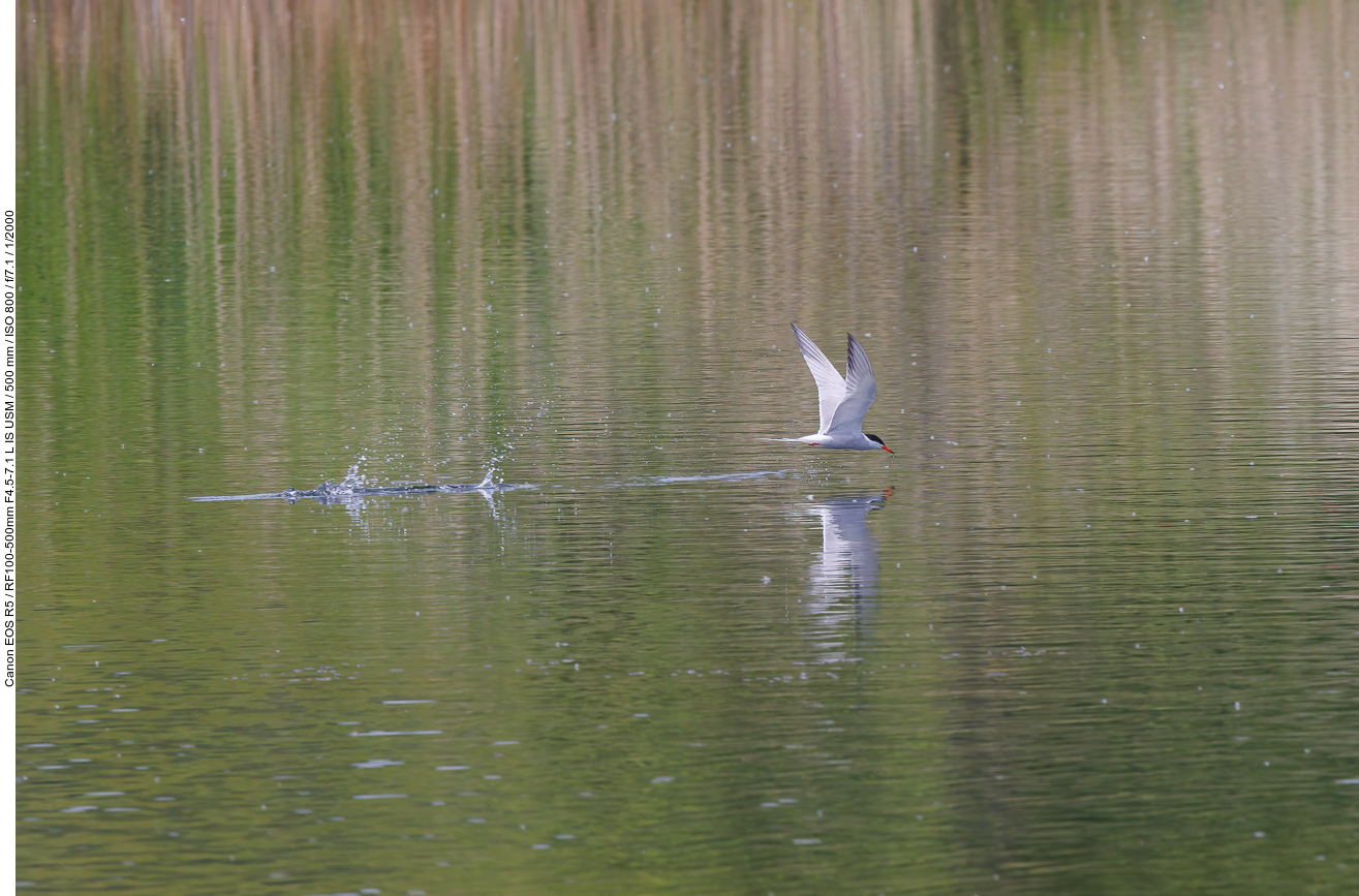 ... leider nichts gefangen :-(