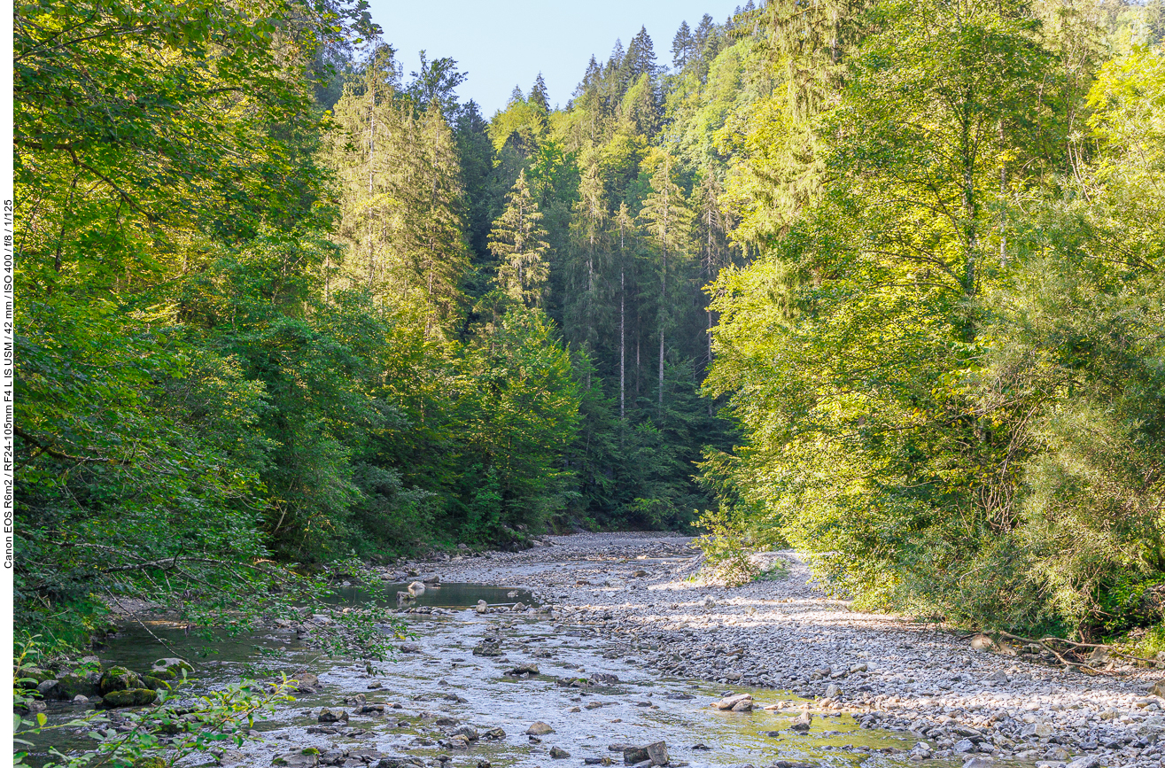 Einige Wanderungen die wir 2024 in Österreich unternommen haben