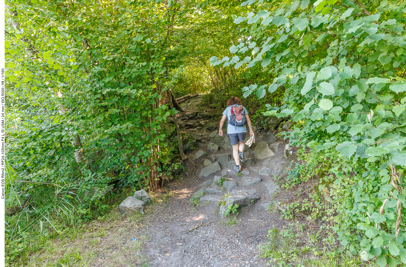Bei bis zu 31°C freuen wir uns über Schatten