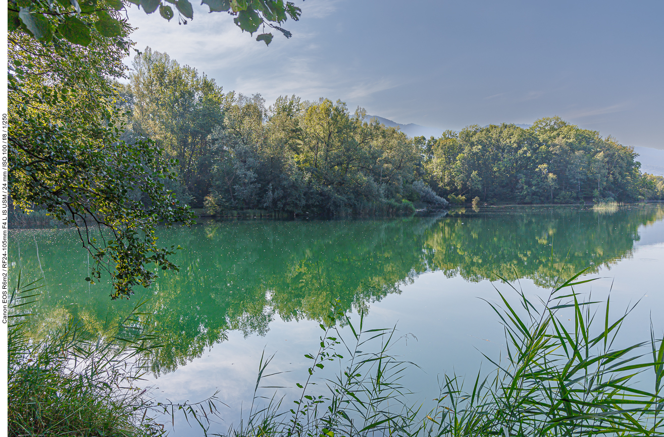 Kleine Bucht am "Alten Rhein"