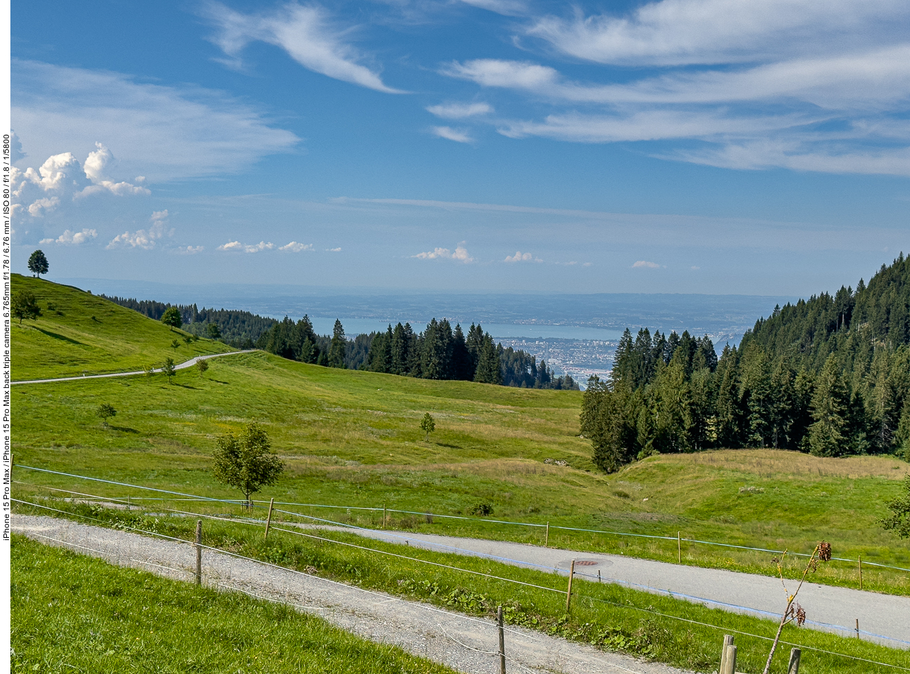 ... hier etwas näher herangezoomt