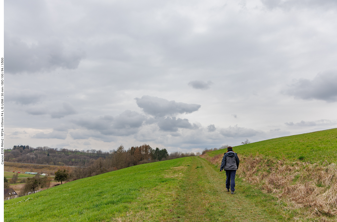 Auf dem Wanderweg bei Mauschbach