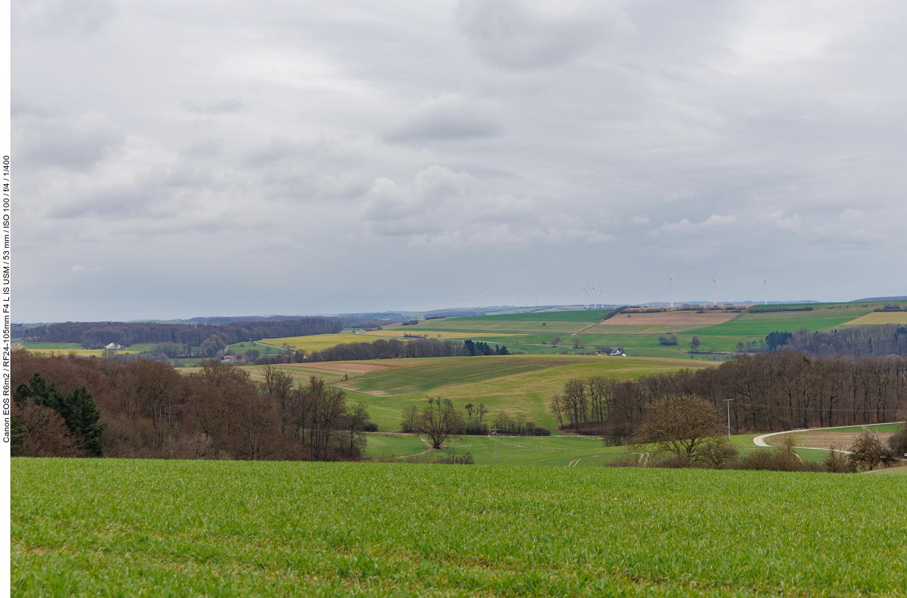 Landschaft mit Feldern und Wäldern