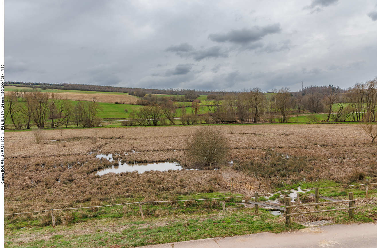 Hier grasen normalerweise Rinder und Pferde, um die Landschaft offen zu halten