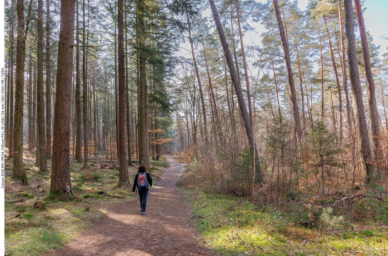 Im Schatten ist es ziemlich kühl