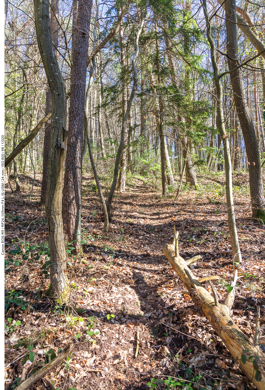 Gleich zu Beginn geht es steil hinauf