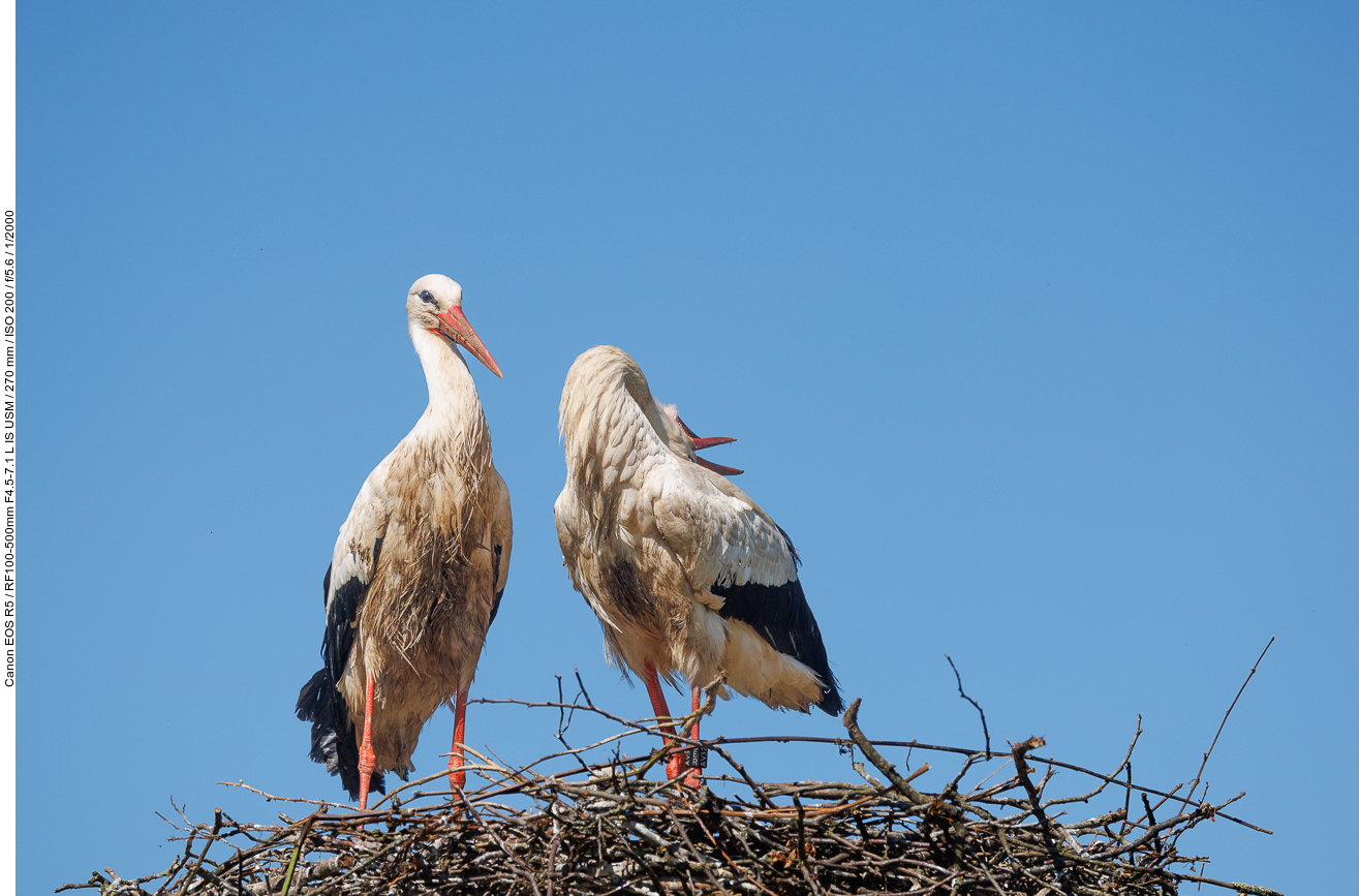 Begrüßung durch den/die Partner/in