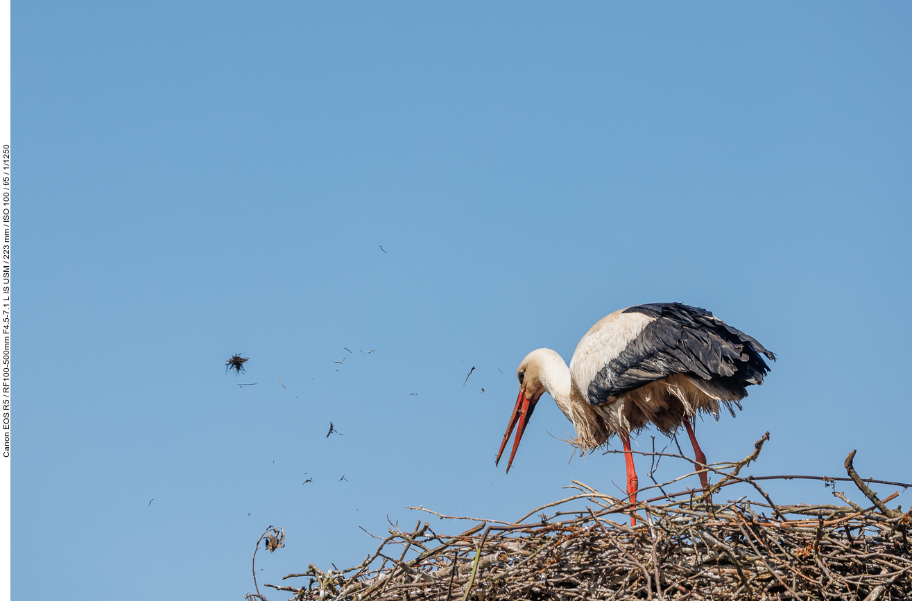 Hier wird ordentlich ausgemistet