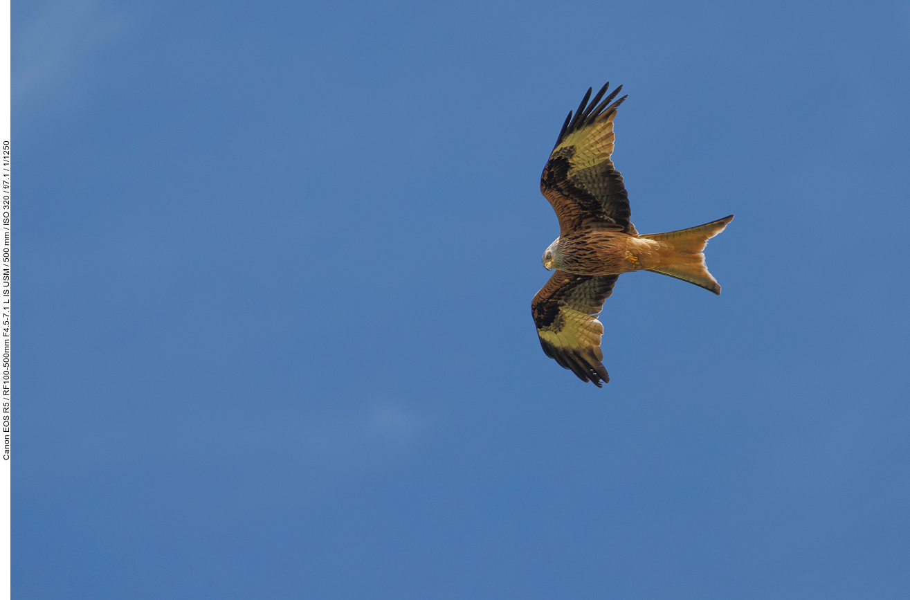 ... über unseren Köpfen ...