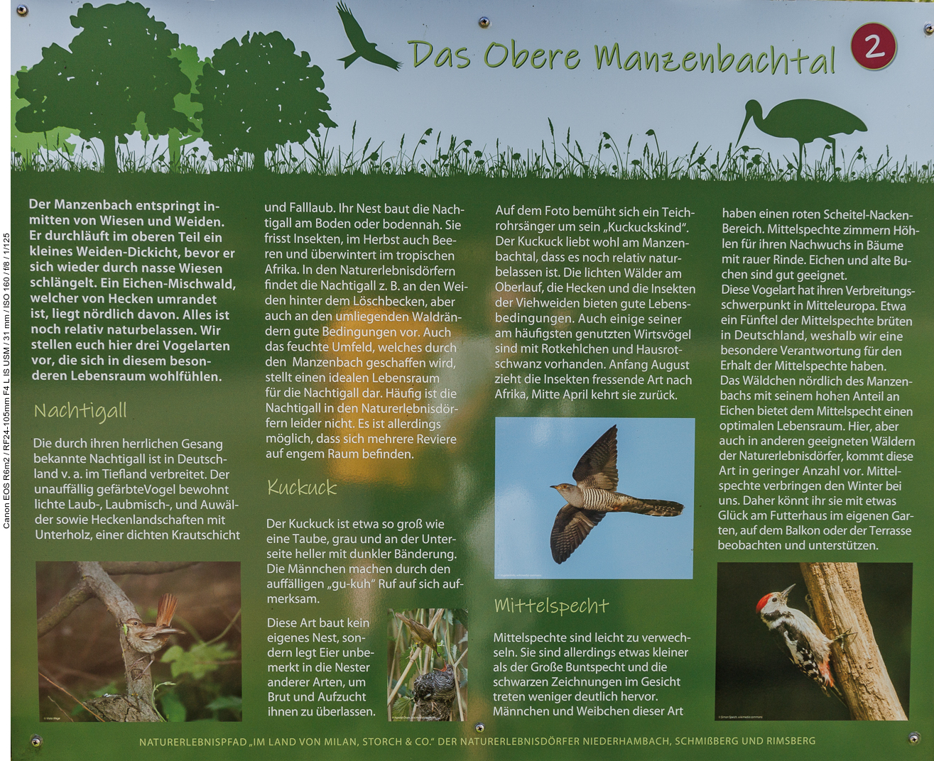 Infotafel Nr. 2: Das Obere Manzenbachtal