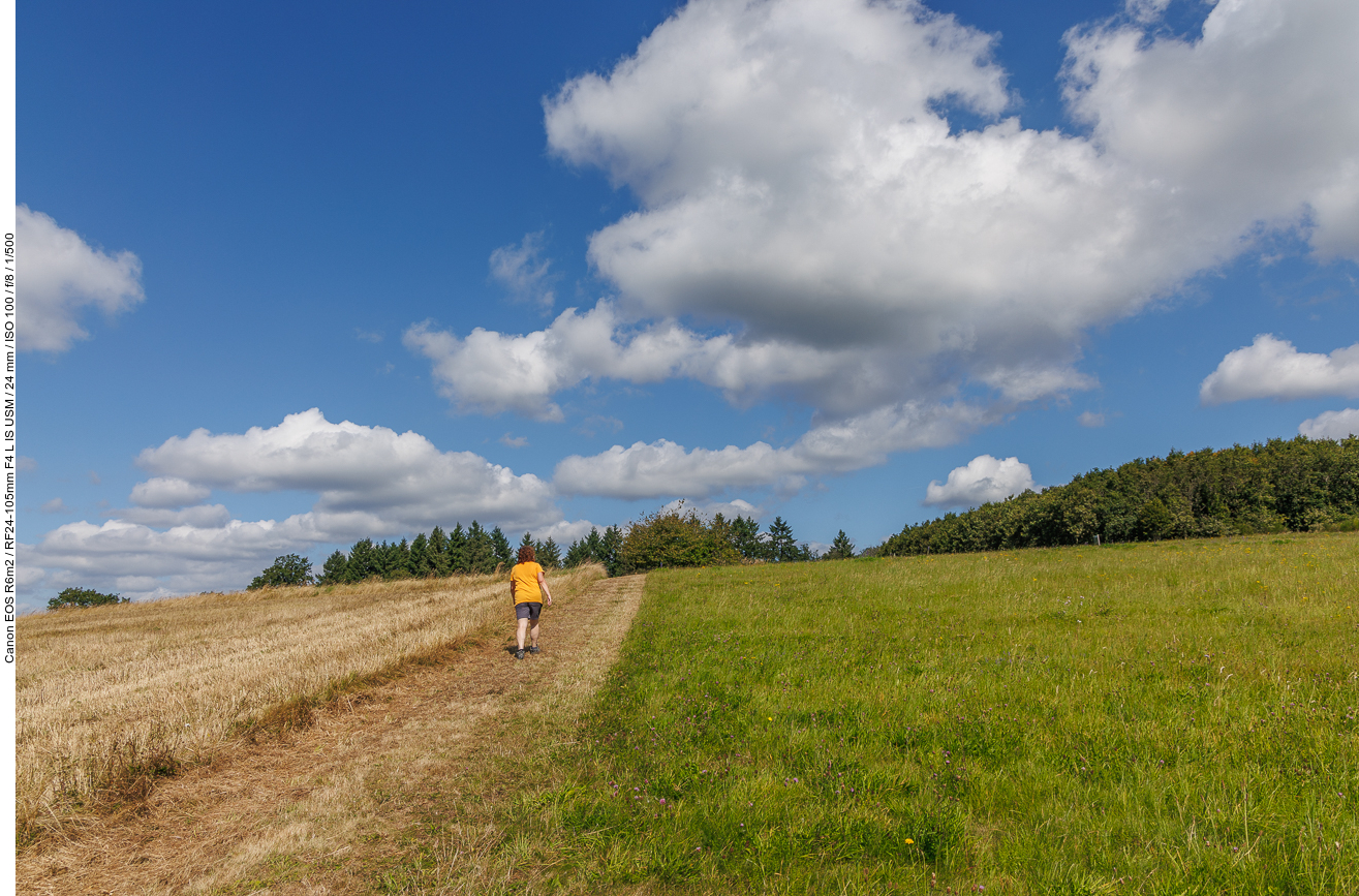 Ab und zu muss ein Wiesenweg überwunden werden