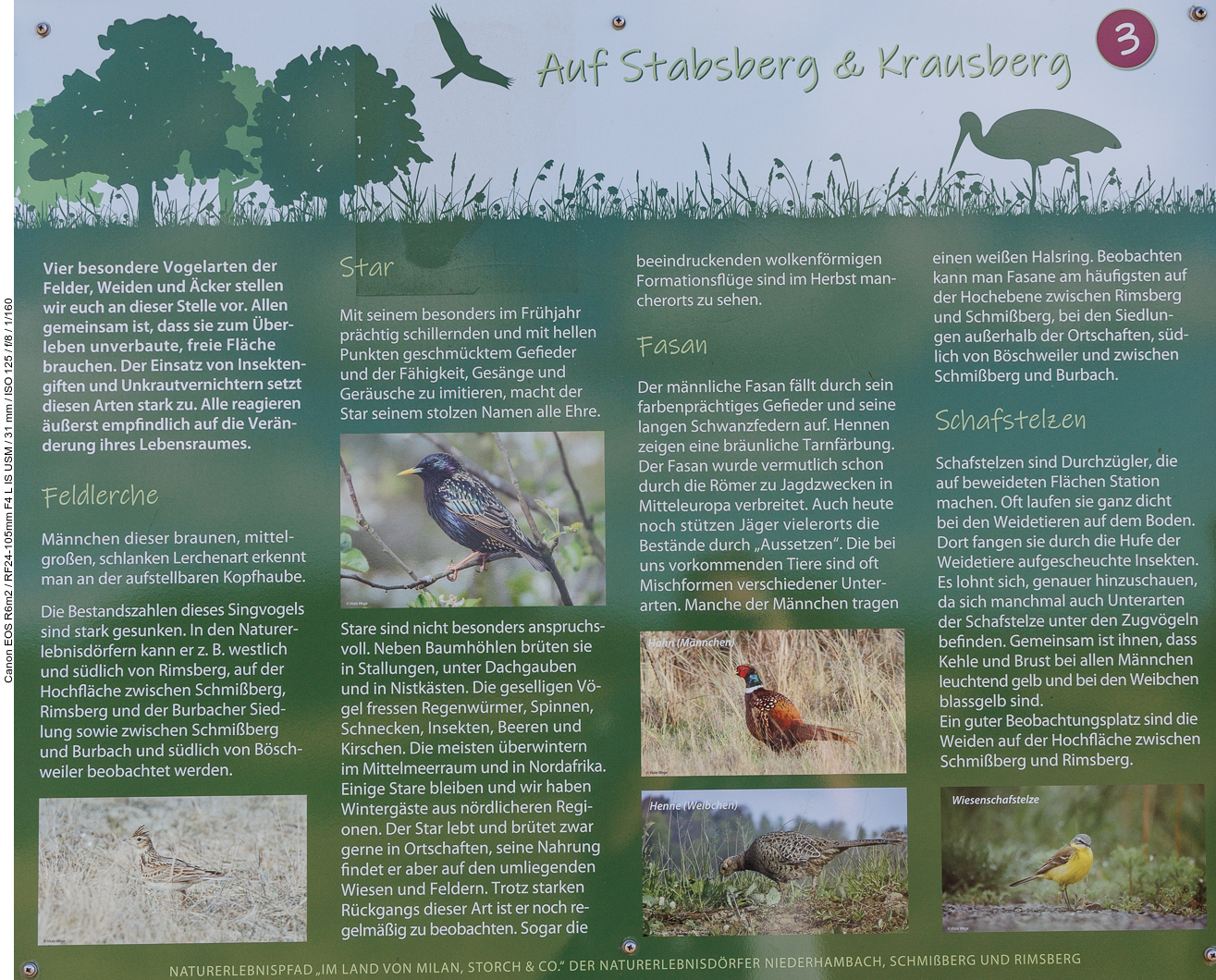 Infotafel Nr. 3: Auf Stabsberg & Krausberg