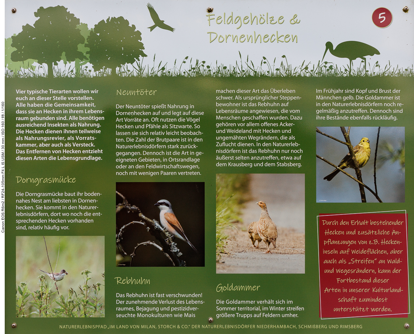 Infotafel Nr. 5: Feldgehölze & Dornenhecken