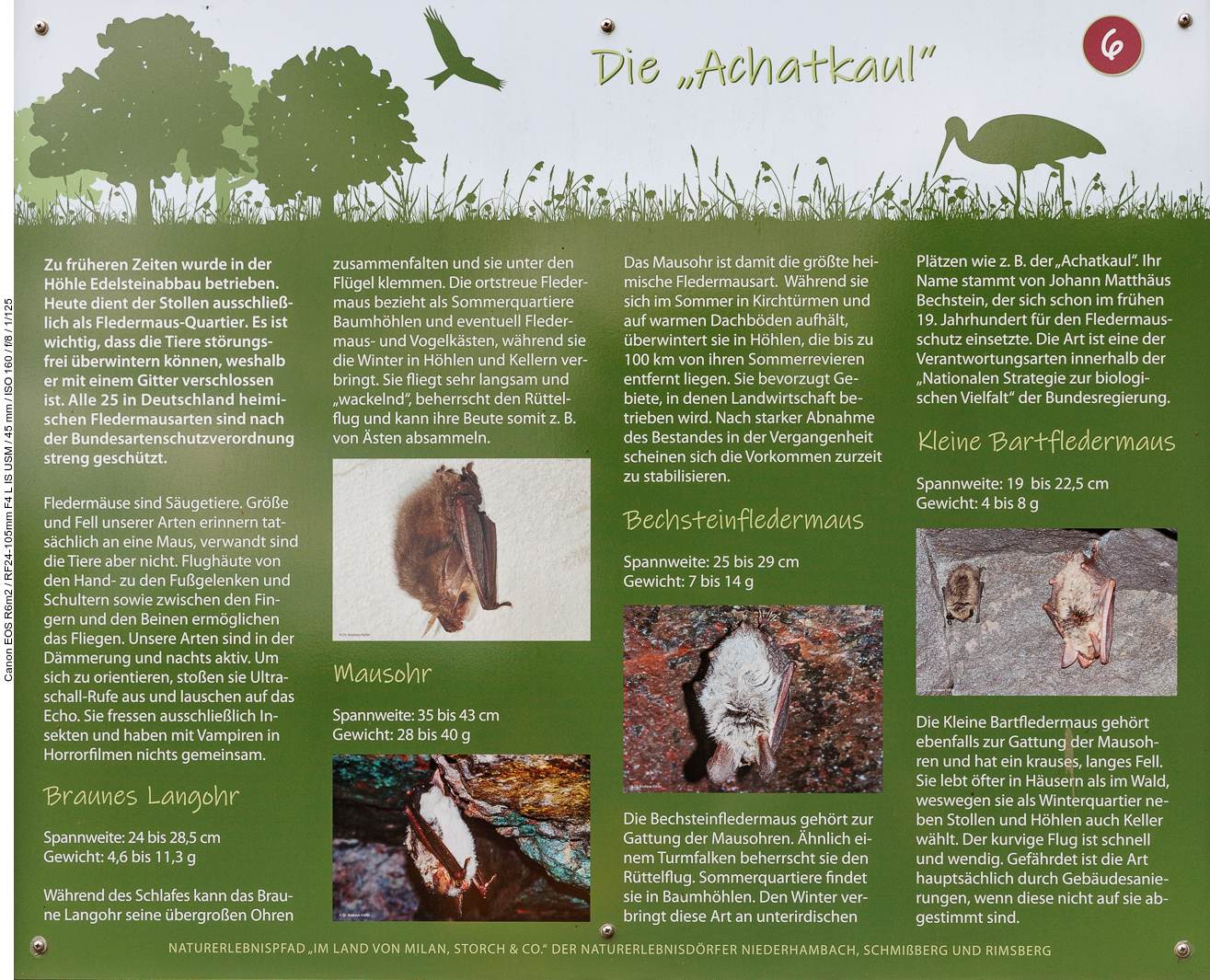 Infotafel Nr. 6: Die "Achatkaul"