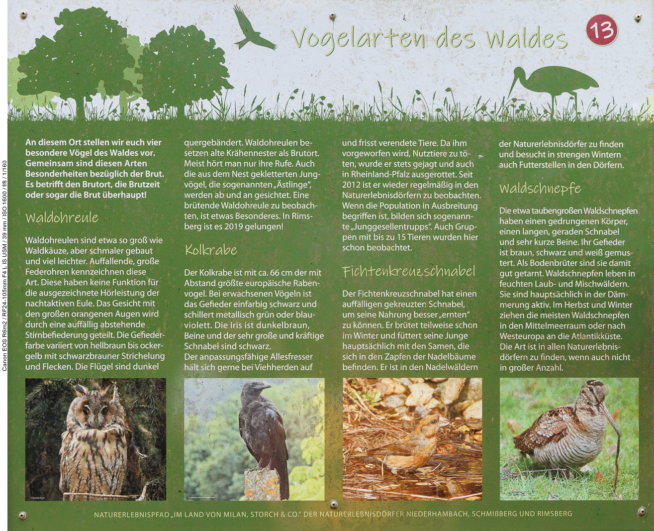 Infotafel Nr. 13: Vogelarten des Waldes